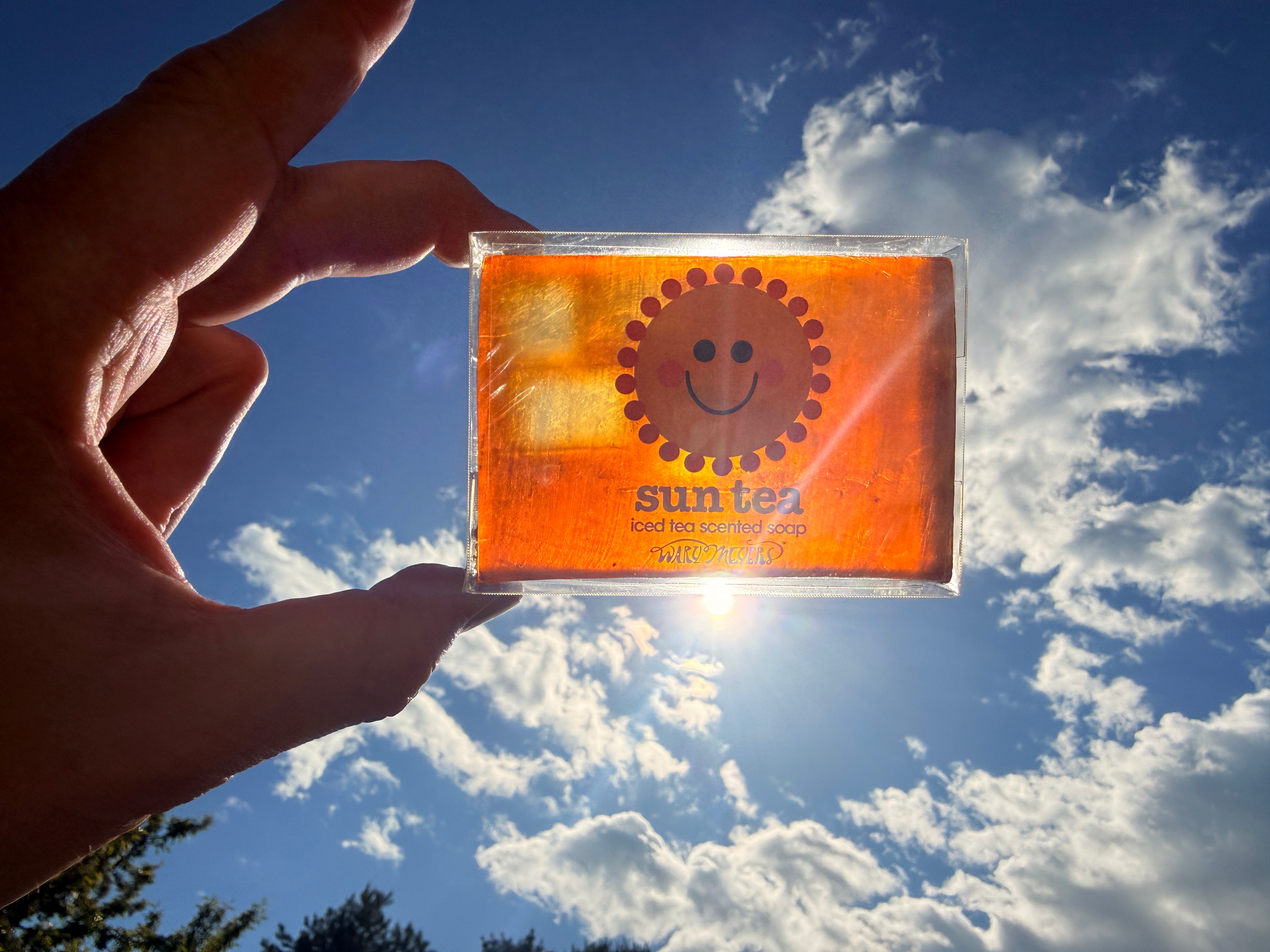 Sun Tea- sun-brewed iced tea by Wary Meyers